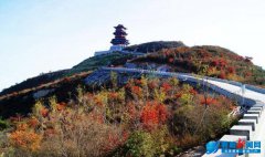 �����ڲ�Զ�� �ͽ��Ǹ���Զȥ